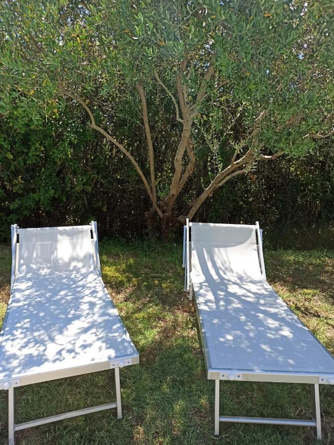 Villa Poggio Al Sole Bio Agriturismo Private Pool San Rocco a Pilli Екстериор снимка