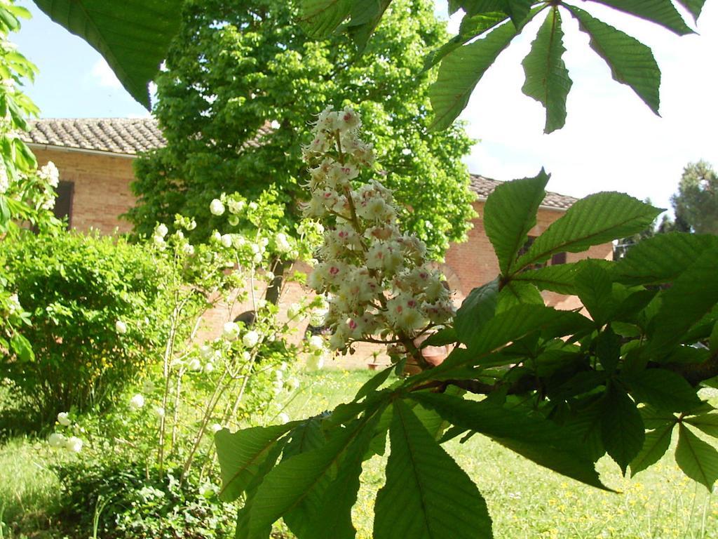 Villa Poggio Al Sole Bio Agriturismo Private Pool San Rocco a Pilli Екстериор снимка