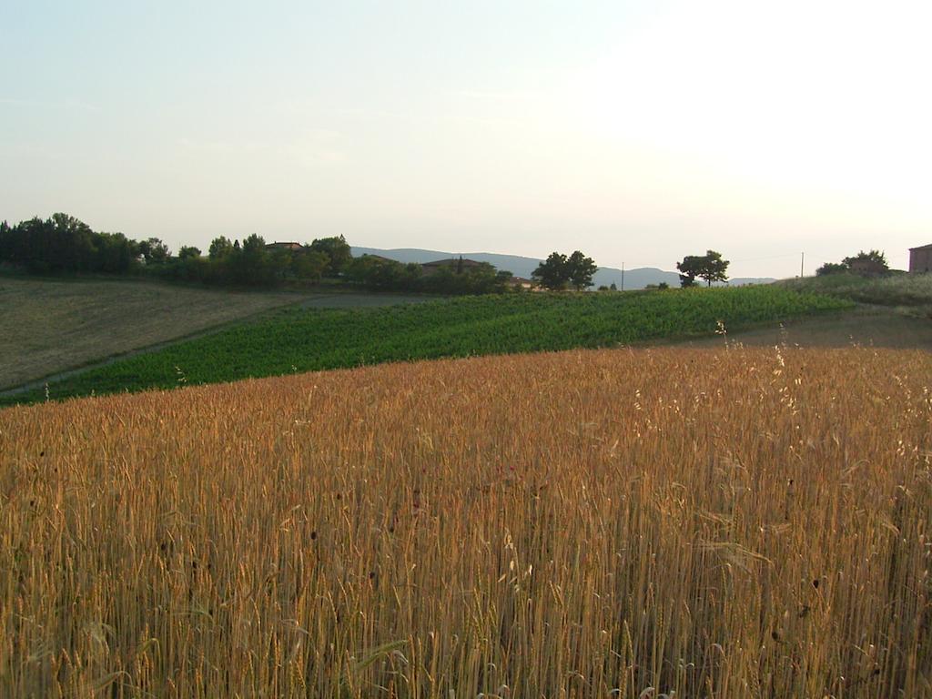 Villa Poggio Al Sole Bio Agriturismo Private Pool San Rocco a Pilli Екстериор снимка
