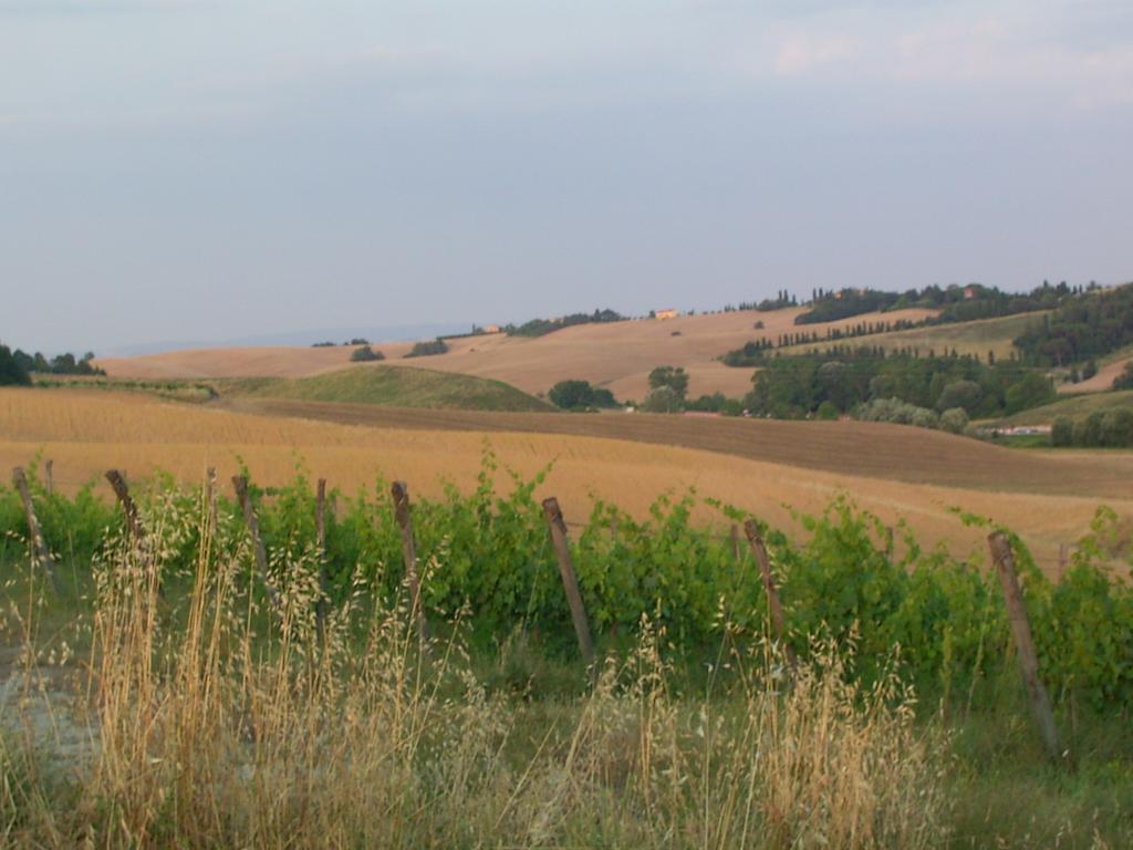 Villa Poggio Al Sole Bio Agriturismo Private Pool San Rocco a Pilli Екстериор снимка
