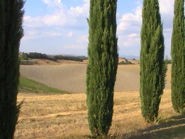 Villa Poggio Al Sole Bio Agriturismo Private Pool San Rocco a Pilli Екстериор снимка